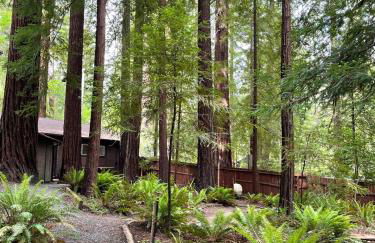 The Groves at Redway Beach - Studio - Foto 24