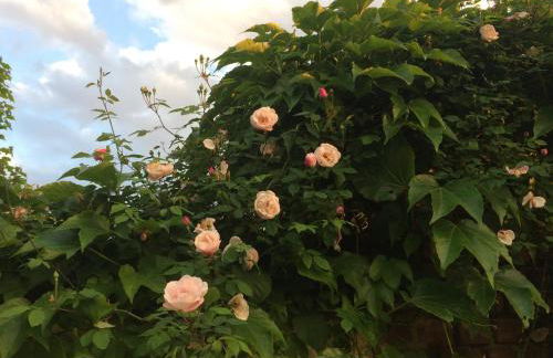 Kranichhof - Studio, Loft & Atelier - Photo 80