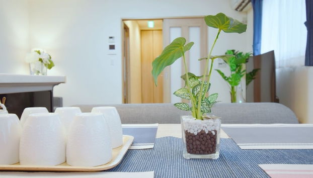 Servicio de comidas en la habitación