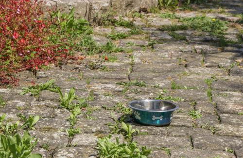 The Pink House - Foto 18