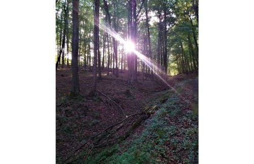 Teutoburg Forest hiking paradise - Foto 19