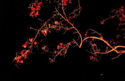 Casa Migliaca - Foto 22