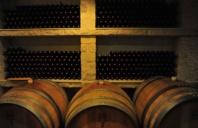 Excursion à Lumbarda à vélo + Dégustation de vins - Photo 9