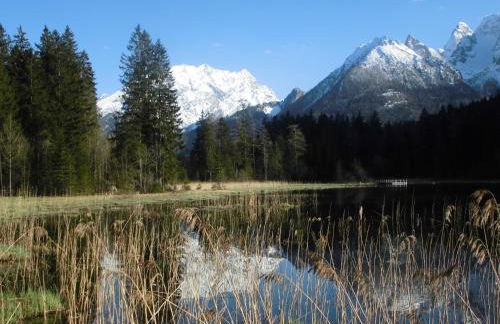 Haus Buchenwald - Foto 22