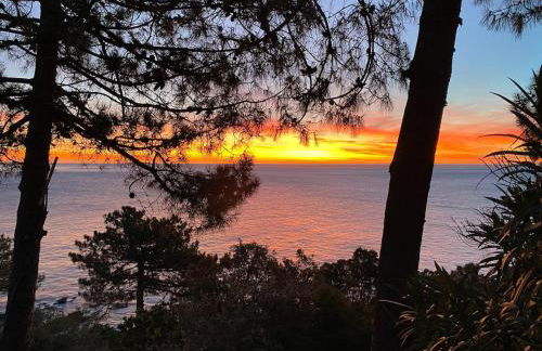 Villa Tarco, South Corsica, Sea View & Garden - Foto 24