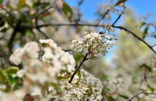 Apartamento en Enveitg, Montana Park - Foto 46