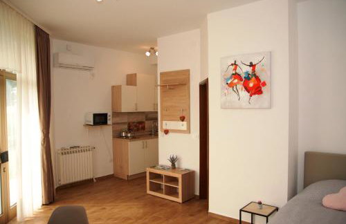 Studio apartmani Toplička bajka - Foto 17