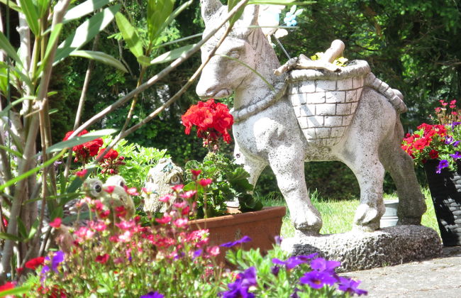 1 bedroom Apartment in Fuchshofen with garden - Photo 31