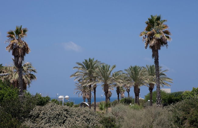 Liber Apartments - Foto 52