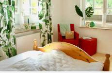 Ferienwohnung Dörnberg erleben mit Tiere bei Winterberg - Foto 13