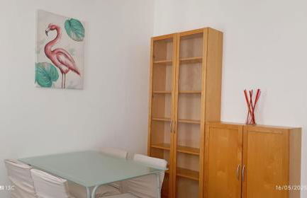 Holiday Grivi - Foto 29