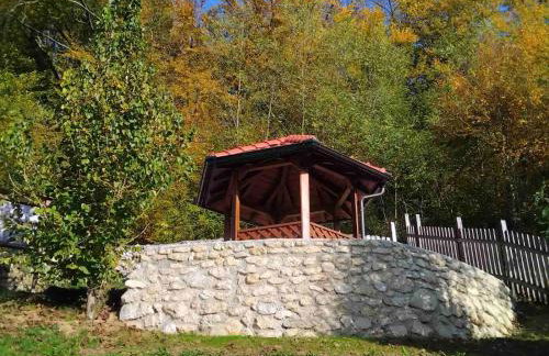 Vila Trnoružica - Foto 59