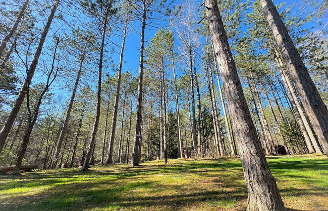 Boyer's Pond Campground - Foto 62