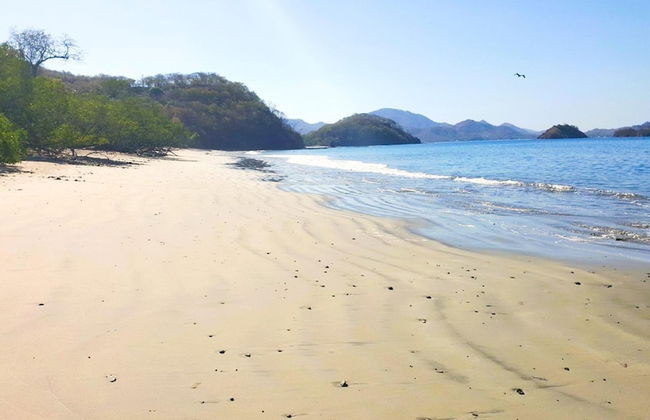 Container w Pool Backyard Parking BBQ Kitchen More in Playa Potrero - Photo 43