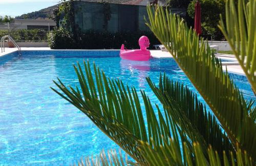 Apartments Zulim - Foto 10