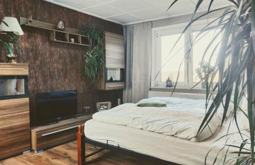 Ferienwohnung Malu Sol im Harz - stilvoll, gemütlich, tierfreundlich - mit Garten - Foto 14