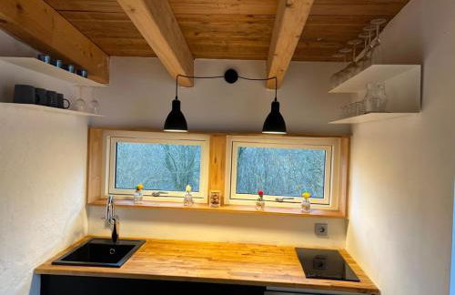 foresthaus - Foto 12