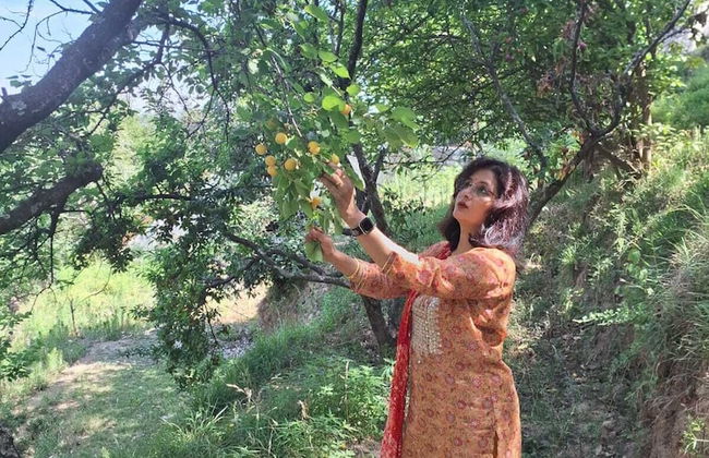 Pine pioneer the eco resort - Foto 18