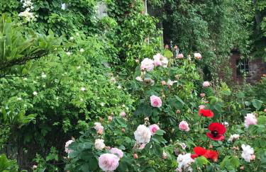 Ferienhaus Altes Gesellenhaus bei Bad Bevensen - Foto 22