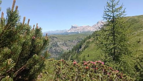 Chalet Heidi - Photo 3