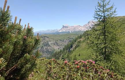 Chalet Heidi - Foto 3