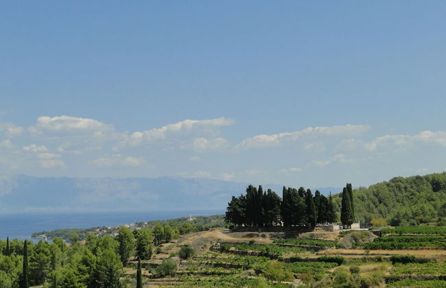 Experience Fairytale Moments in a Beautiful old Village at Island of Hvar - Foto 30