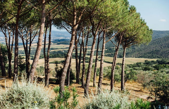 Fonte Marina Alta - Foto 21