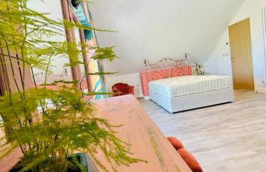 California Dreaming , California Scratby - Foto 15