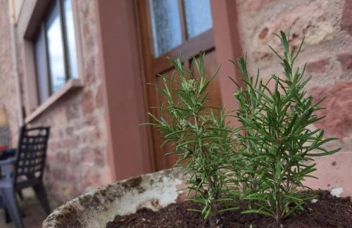 Main Appartement-Haus - 97896 Freudenberg - Foto 35