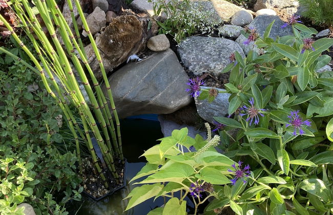 2bed Cabin w/ Parking Near Snowdonia National Park - Photo 15