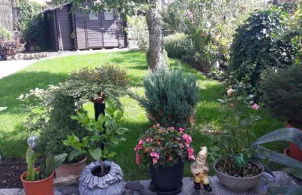 FeWo Weimar - Foto 1