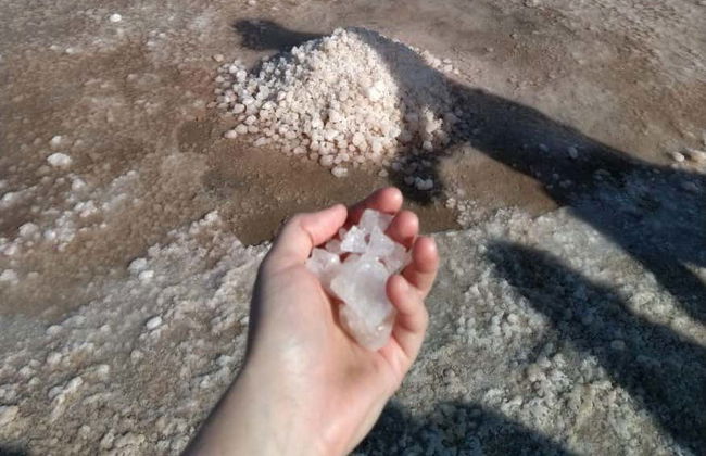Tour por las salinas de Pedra de Lume y Santa María - Foto 6