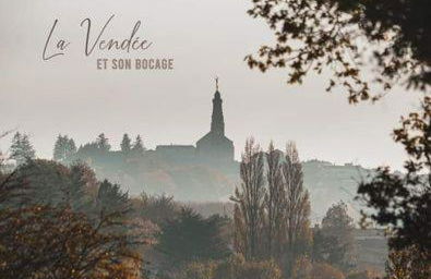 L'ARDOISINE - Photo 8