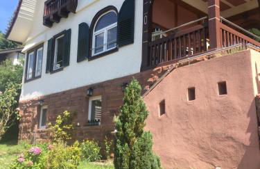 Familienglück im Schwarzwaldhaus mit Schlossblick - Foto 75