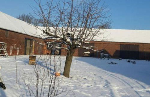 Hof Heideland 2 - Fenster zum Hof - Foto 10