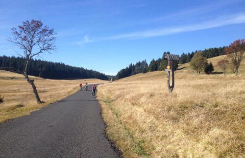 Erzgebirgsferien - Foto 30