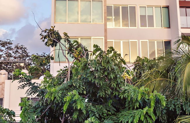 Mararena Condominios - Photo 27