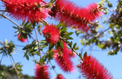 Fissas Rooms - Foto 58