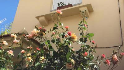 Casa do Bairro - Foto 2