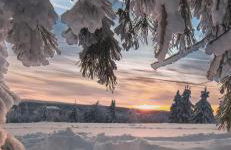 Haus Konthé, appartement - Photo 65