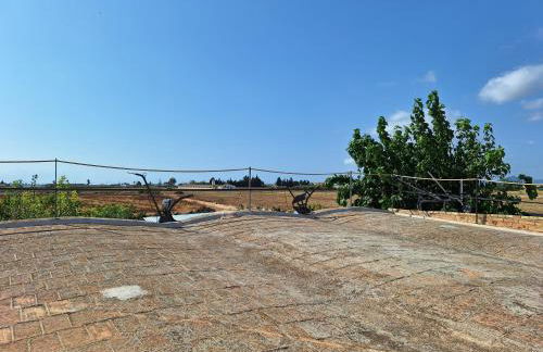 La Palmera Casa Rural - Foto 19