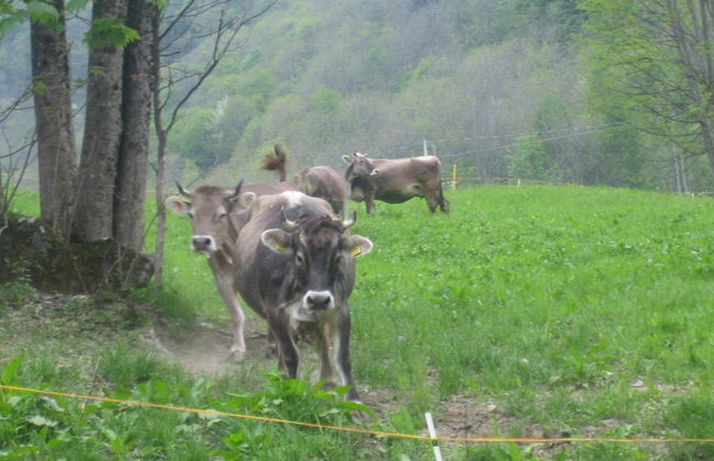 Agriturismo Alagna - Foto 7