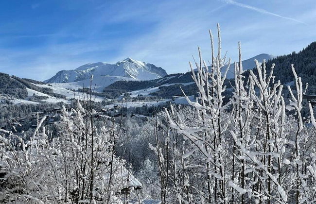 Stylish Chalet in Charming Megeve - Photo 40