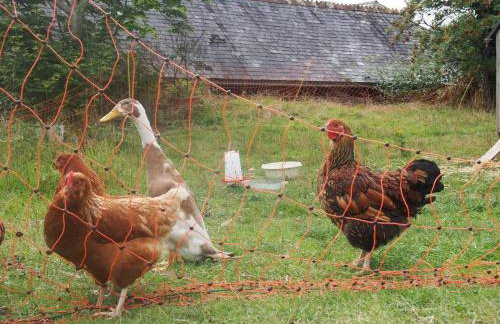 Driftwood Cottage - Foto 45