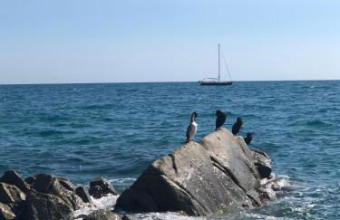White Stones Beach In Sant Pol de Mar - Foto 22