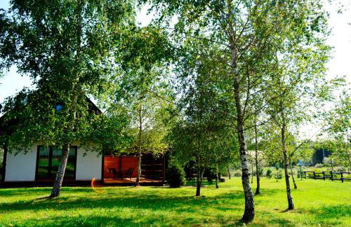 Bies Czadowy Zakątek - Foto 37