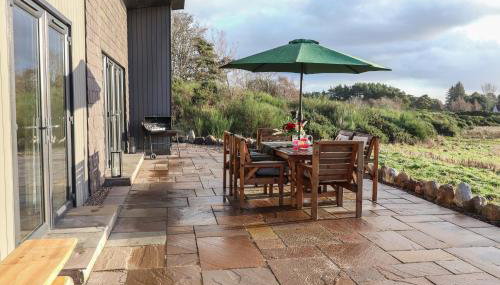 Red Squirrel - Foto 3