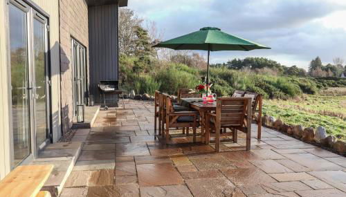 Red Squirrel - Foto 1