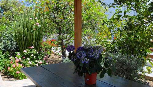 Casa rural sofia - Foto 5, Garden