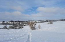 Apartment Naturblick Hollywood - Foto 29